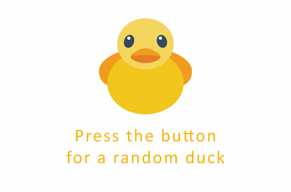 Random Duck Image